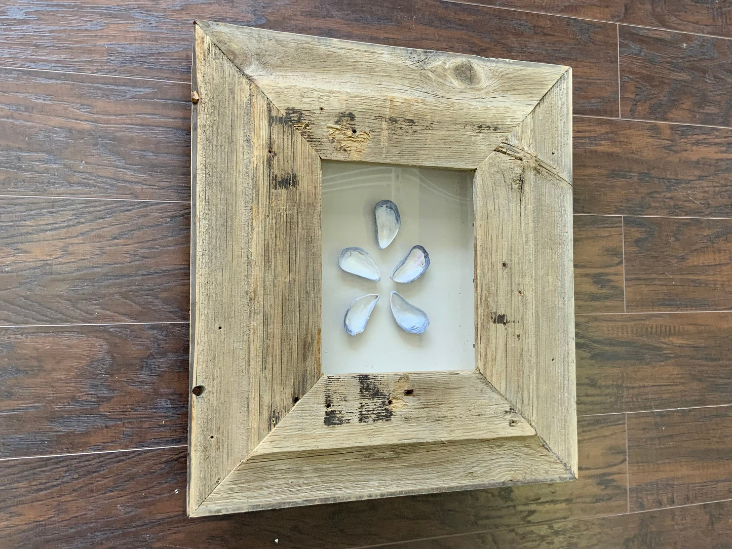 SM - Rectangle Natural Wood Shadow Box - 18” x 20” - Mussels